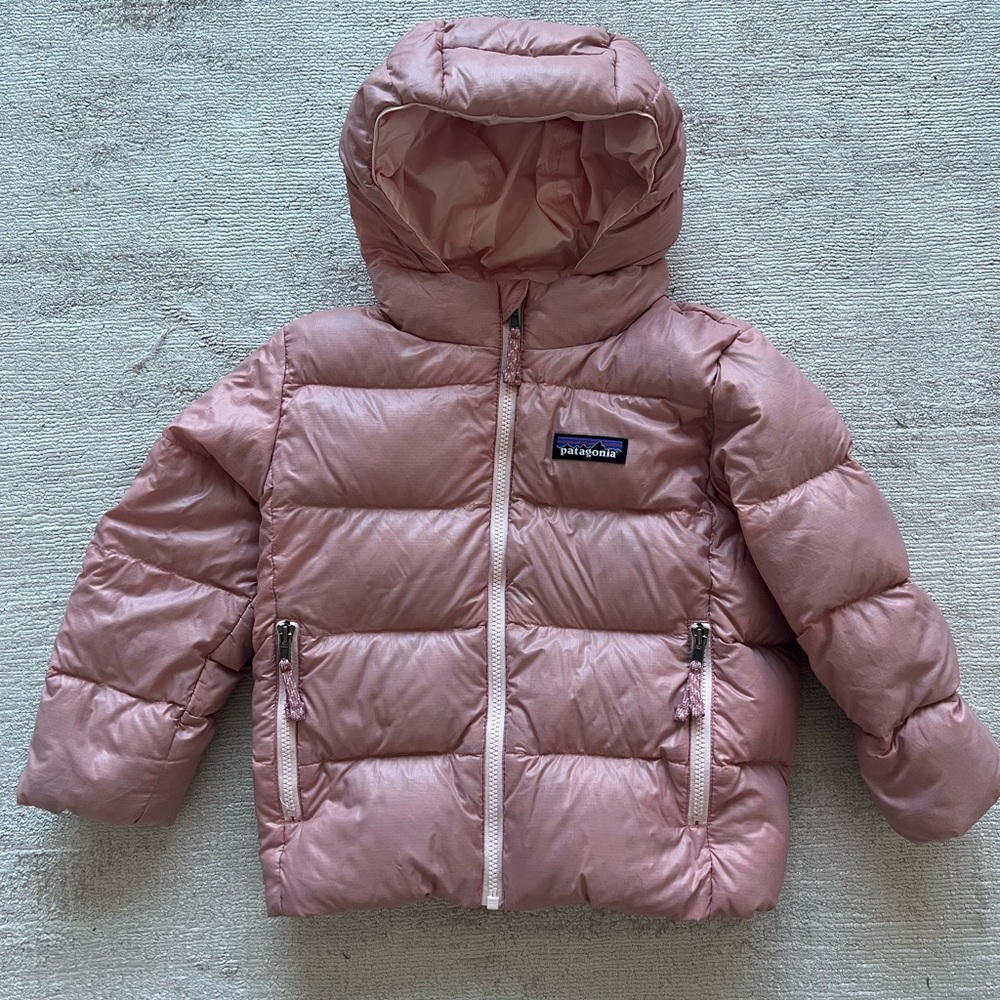 Patagonia Hi-Loft Down Hoody - 2T